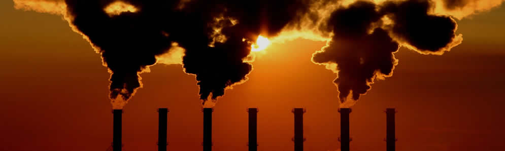 Instituto Brasileiro de Sustentabilidade – INBS Instituto Brasileiro de Sustentabilidade - INBS