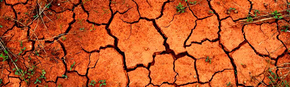 Instituto Brasileiro de Sustentabilidade InstitBrasileiro de Sustentabilidade
